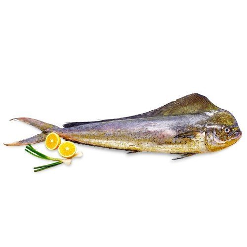 Mahi-Mahi