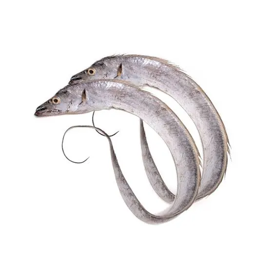 Ribbonfish